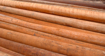 All-natural hardwood utility poles 02.