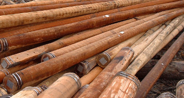 All-natural hardwood utility poles 03.